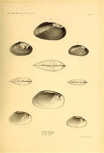n456_w1150