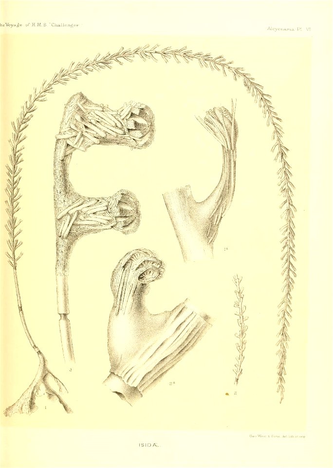 n426_w1150