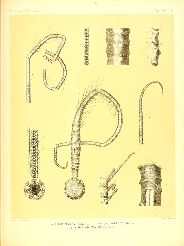 n456_w1150