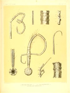 n456_w1150