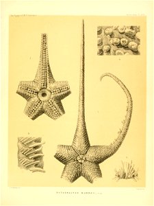 n396_w1150