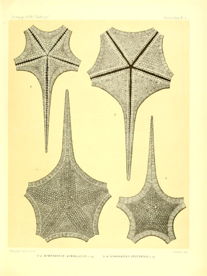 n214_w1150
