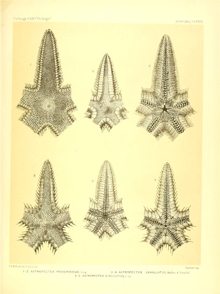 n154_w1150