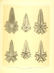 n154_w1150