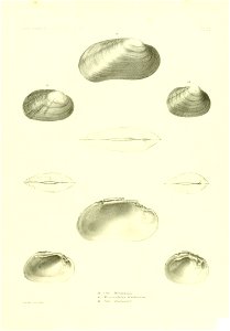 n434_w1150