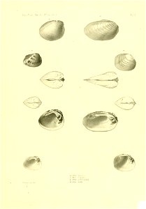 n404_w1150