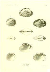 n492_w1150