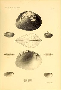 n544_w1150