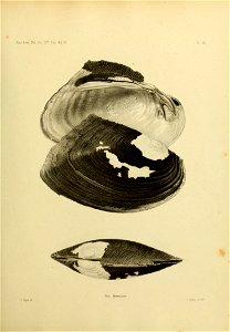 n432_w1150