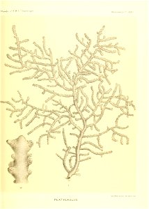 n542_w1150
