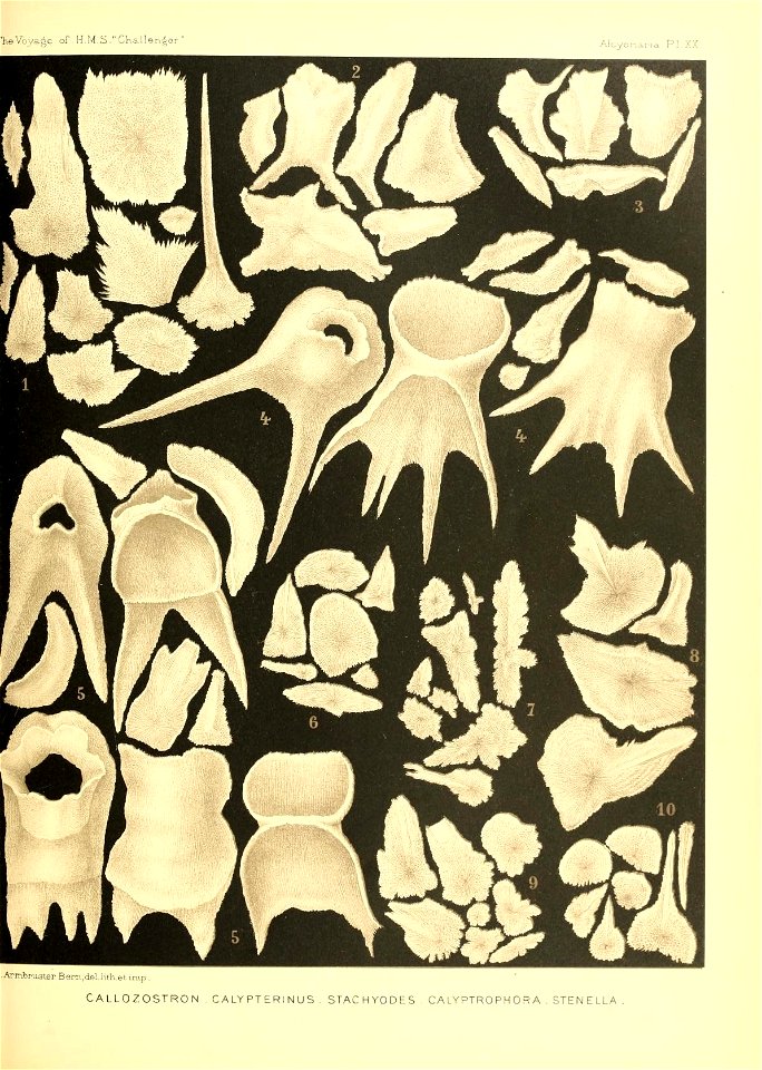 n482_w1150