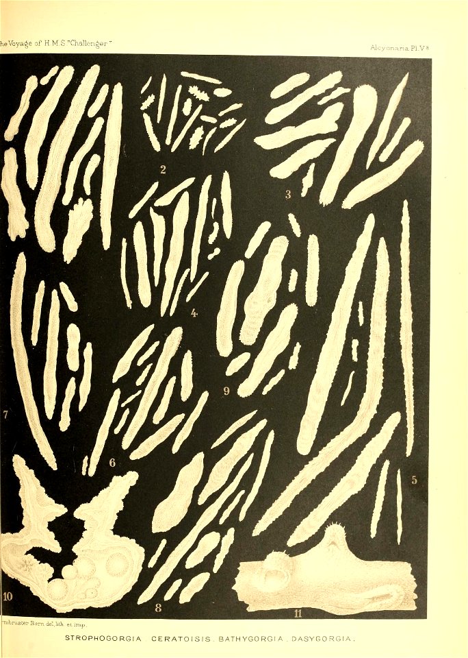 n422_w1150