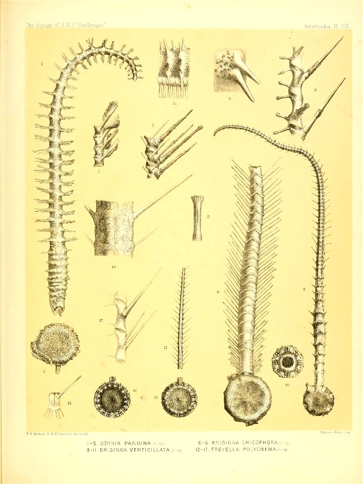 n452_w1150