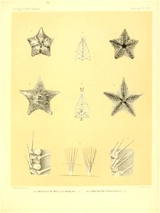 n392_w1150