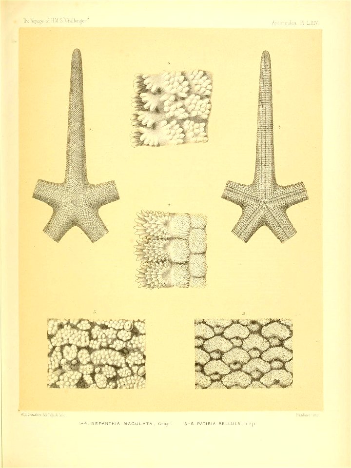 n270_w1150