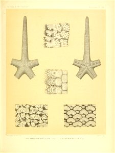 n270_w1150