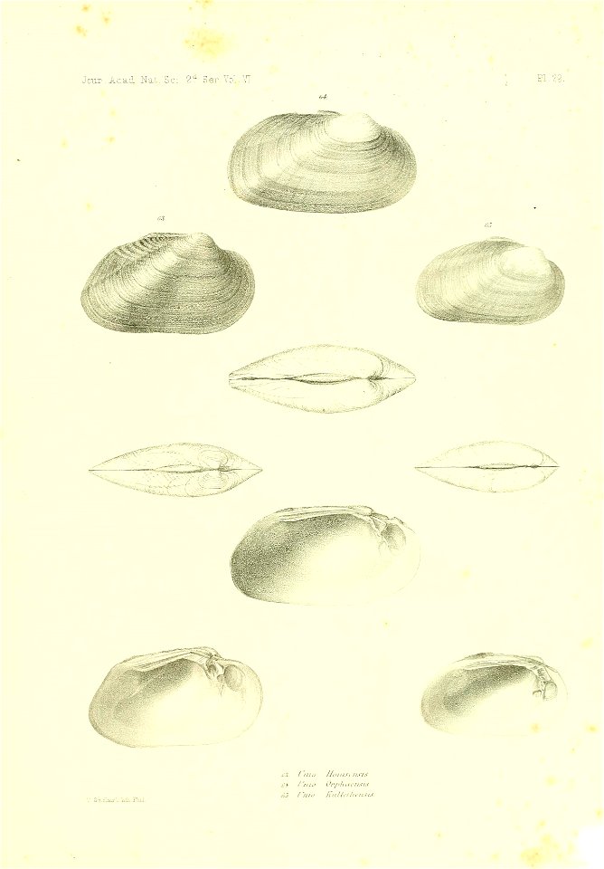 n432_w1150