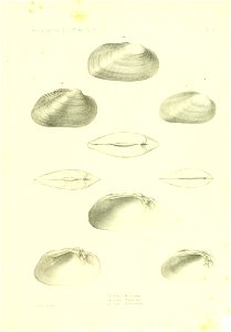 n432_w1150