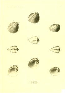 n402_w1150