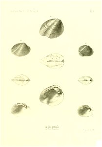 n490_w1150