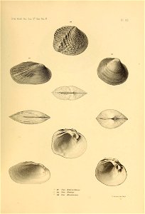 n542_w1150