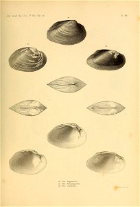 n512_w1150