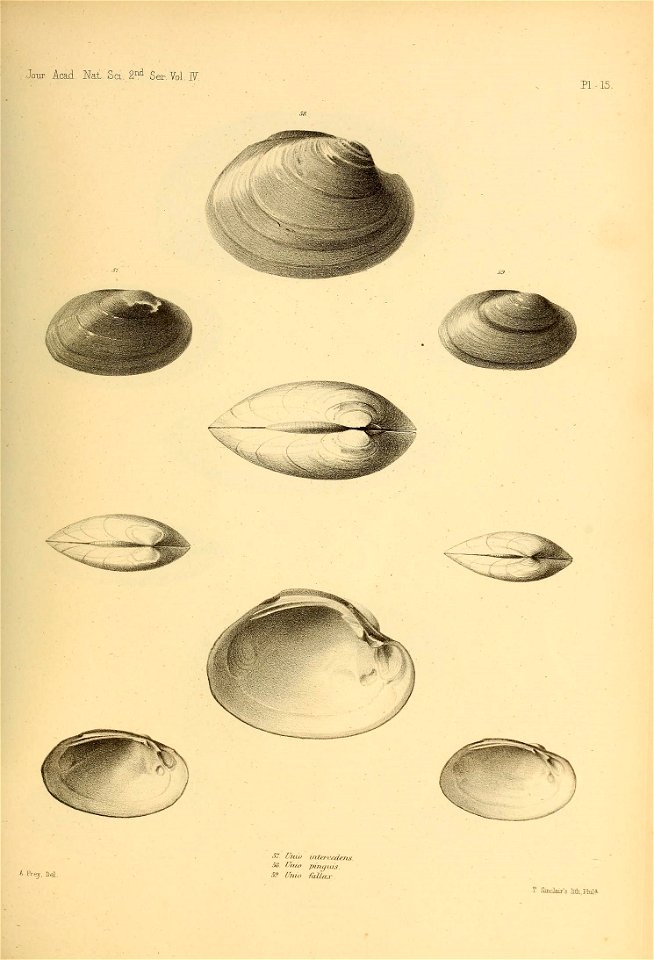n452_w1150