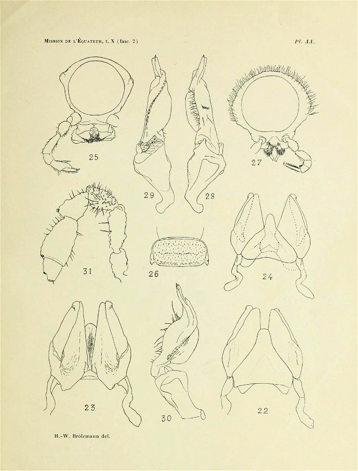 n194_w1150