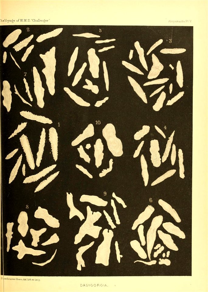 n418_w1150