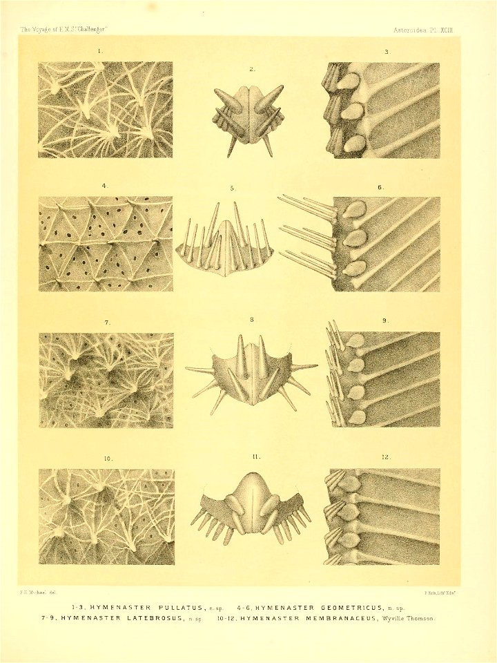 n388_w1150