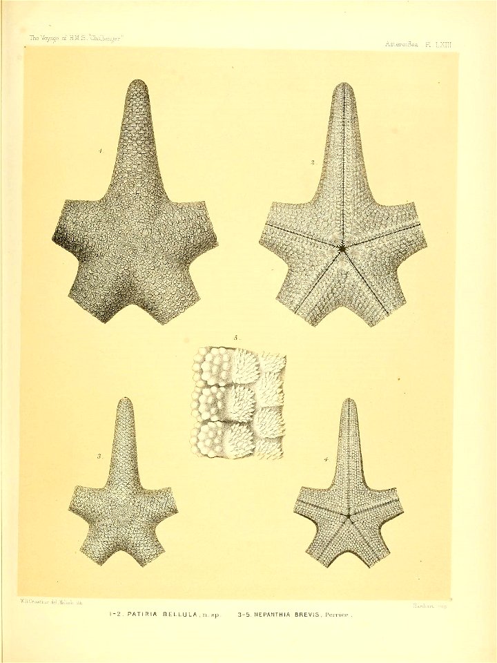 n266_w1150
