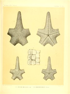 n266_w1150