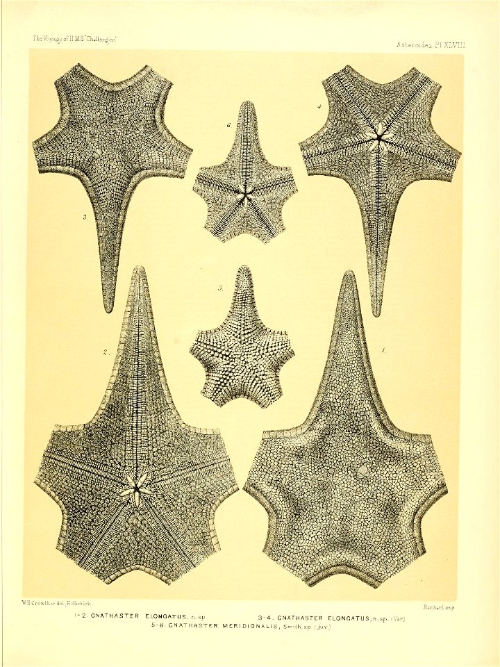 n206_w1150