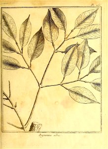 n156_w1150