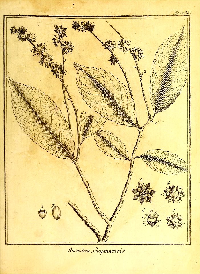 n96_w1150