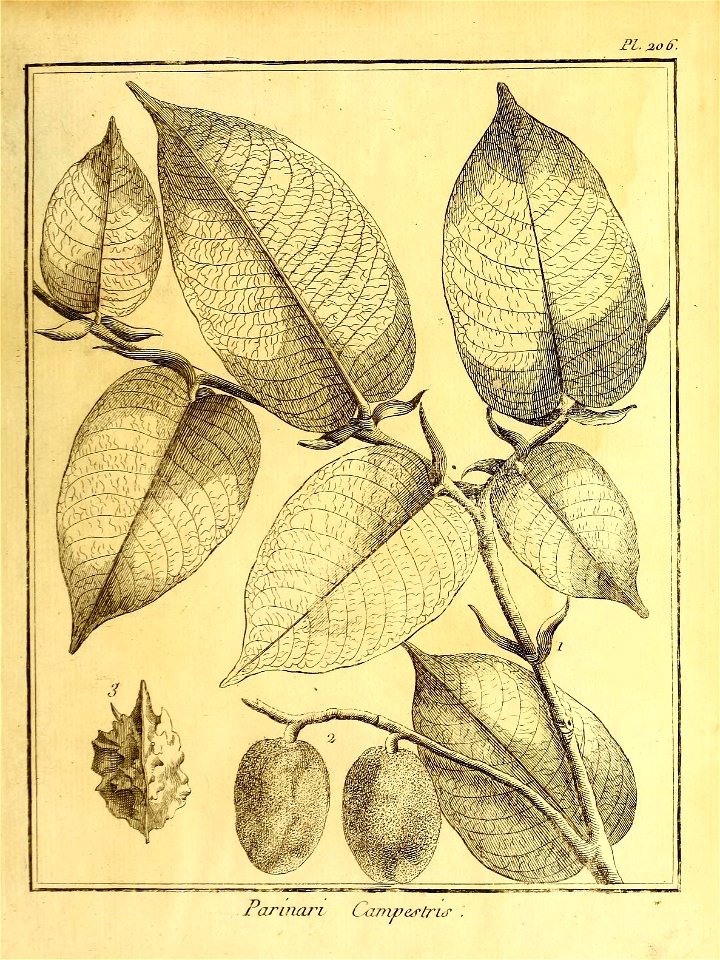 n36_w1150