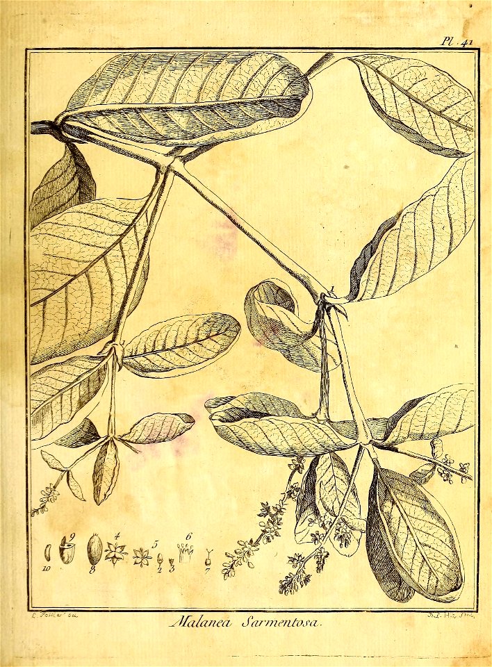 n92_w1150