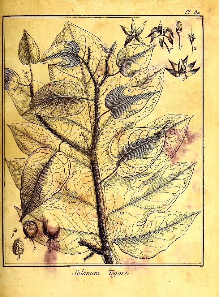 n178_w1150