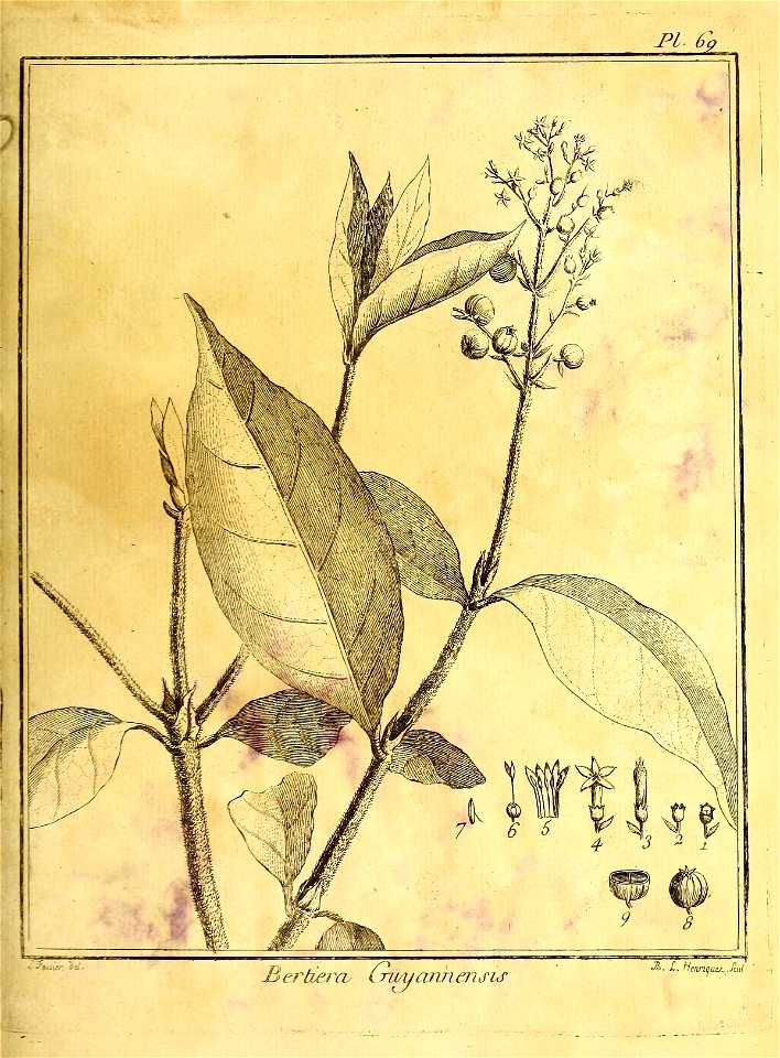 n148_w1150