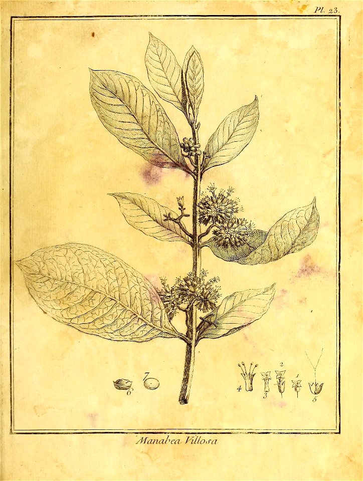 n56_w1150