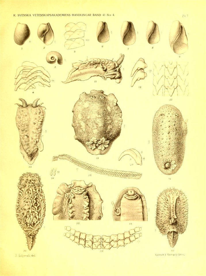 n126_w1150