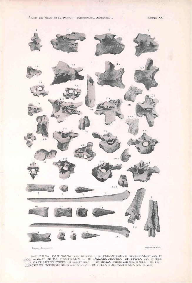 n122_w1150