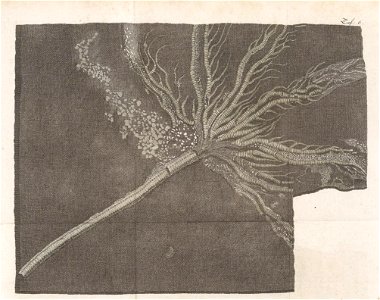n398_w1150