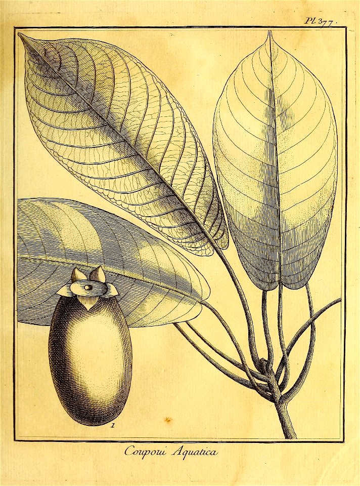 n378_w1150
