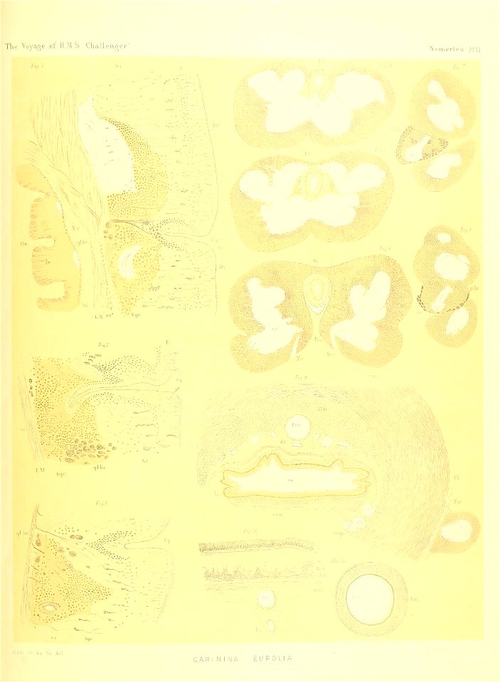 n188_w1150