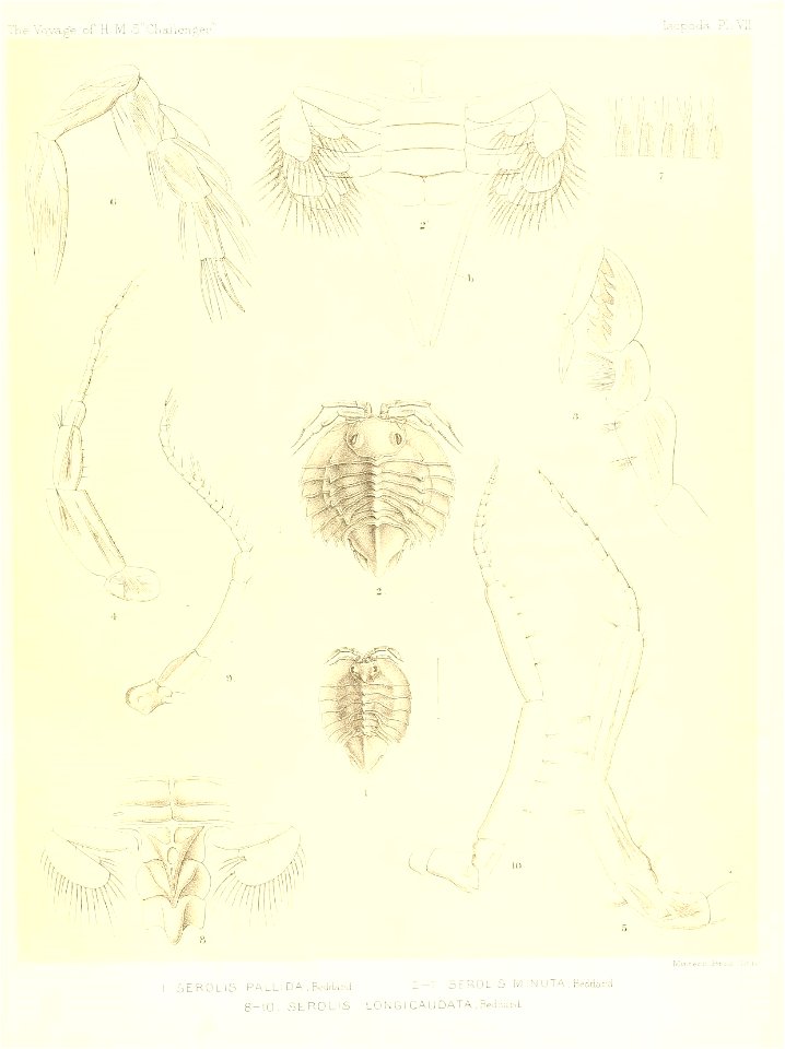 n118_w1150
