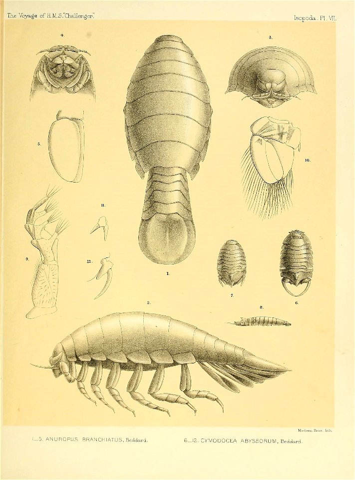 n218_w1150