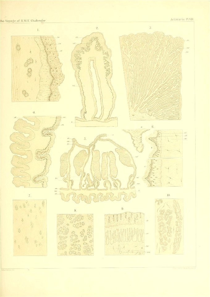 n178_w1150