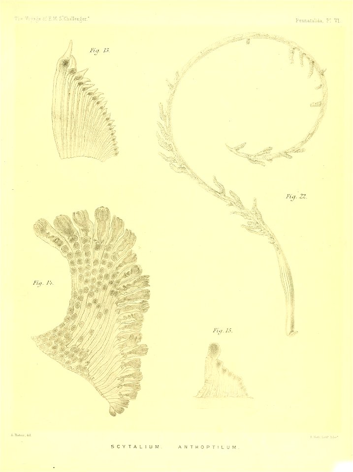 n322_w1150