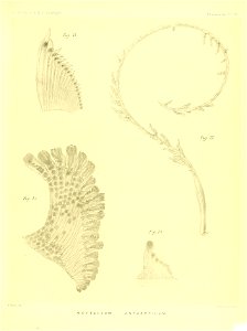 n322_w1150